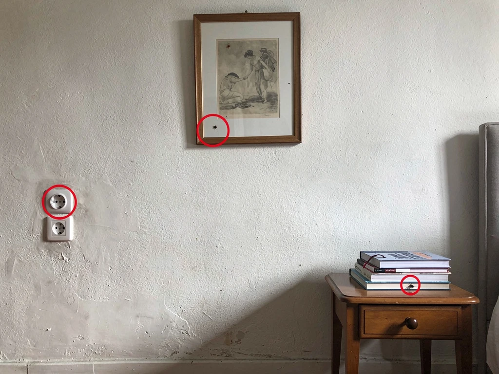 15 endroits improbables où se cachent les punaises de lit — image principale