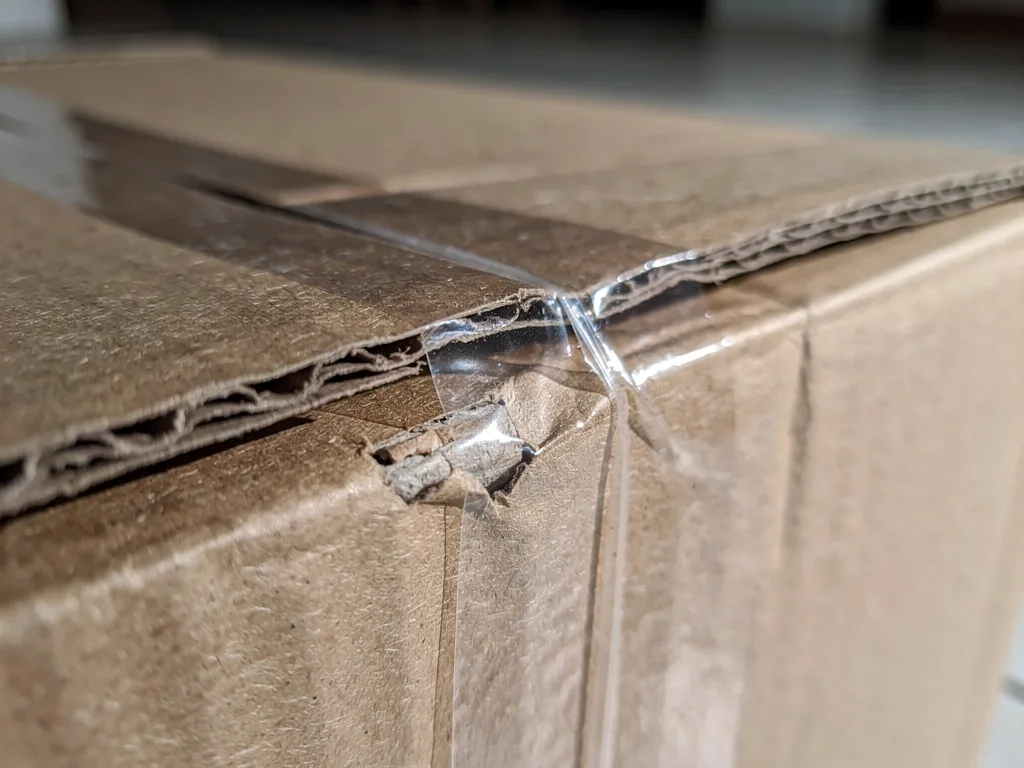 inspection des joints collés d'un carton de déménagement — zone de dissimulation cafards