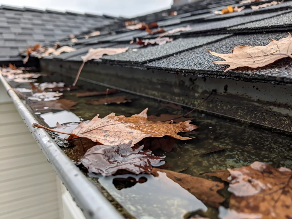 Gouttière bouchée retenant de l'eau et des feuilles